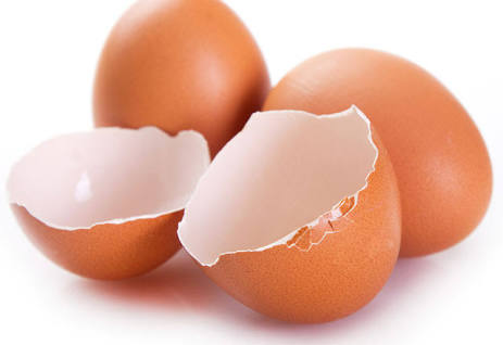 Yumurta Kabuklarını Sakın Çöpe Atmayın