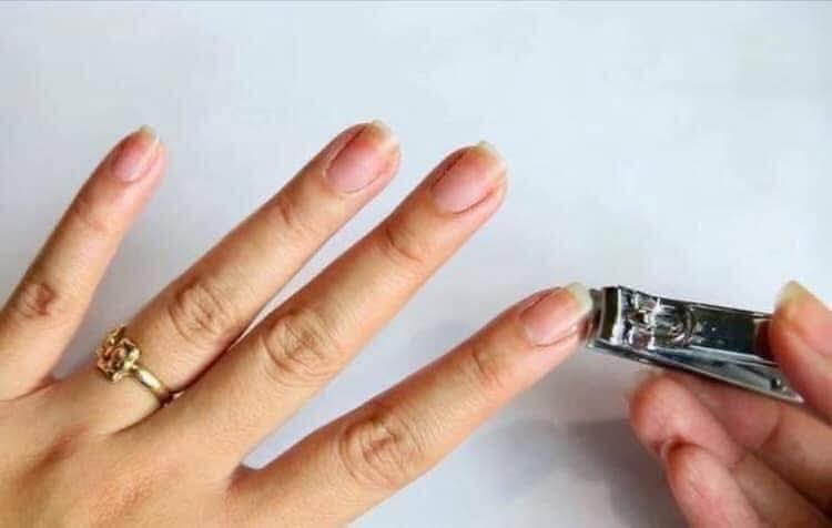 Tırnakların faydası nedir?