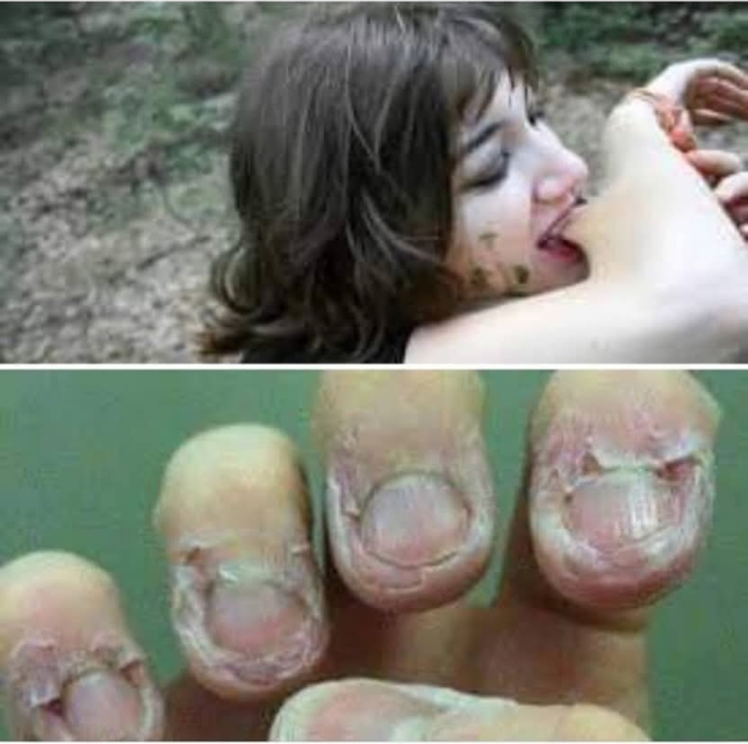 OtoFaji (Kendisini Yemek)